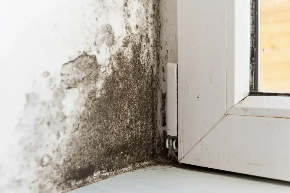 Trusted Water Damage Restoration in Brewster, MA — Brewster, MA